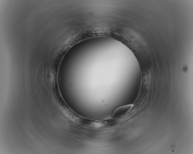 X0000091520662200708171217