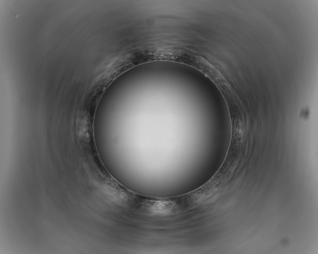 X0000091520663200708171217