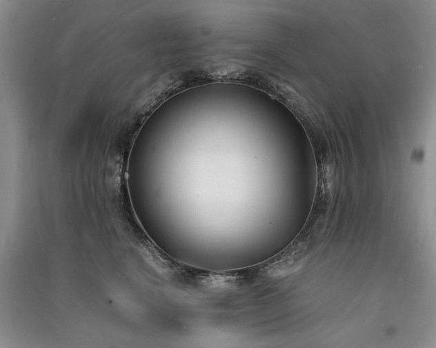 X0000091520664200708171217