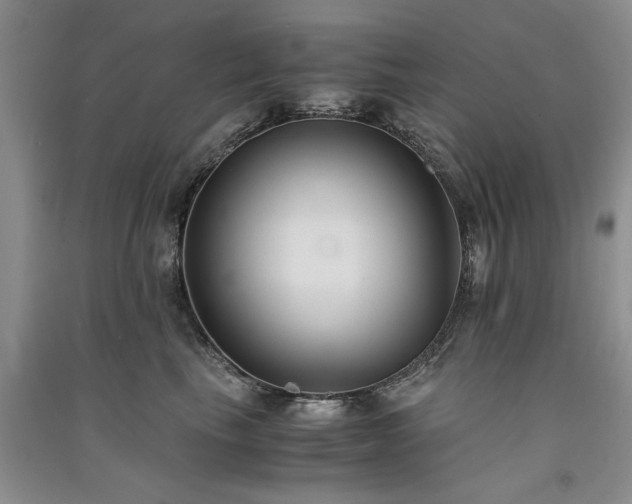 X0000091520665200708171217