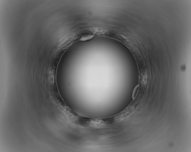 X0000091520666200708171217