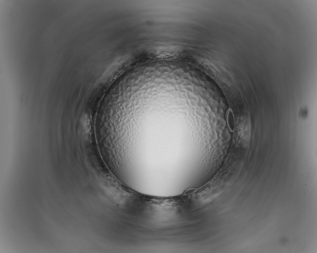 X0000091520667200708171217