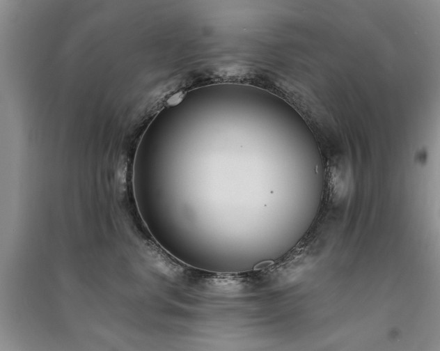 X0000091520668200708171217