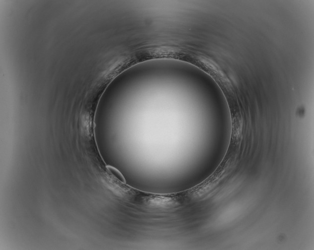 X0000091520669200708171217
