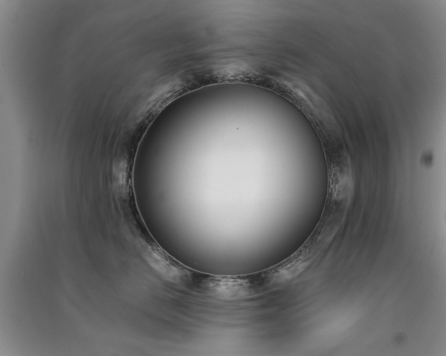 X0000091520670200708171217