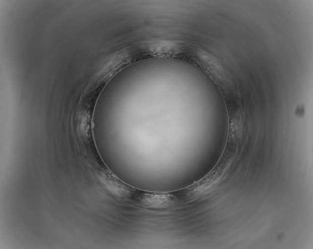 X0000091520671200708171217