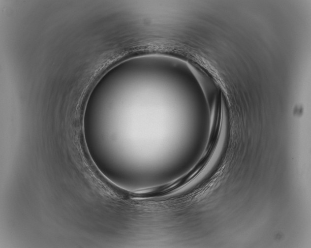 X0000091520673200708171217