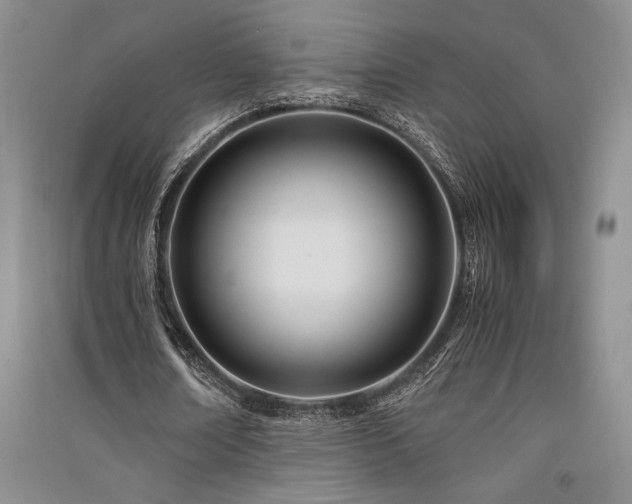X0000091520674200708171217