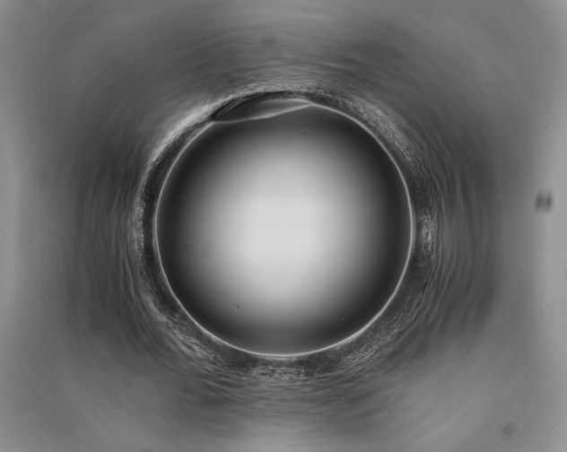 X0000091520676200708171217