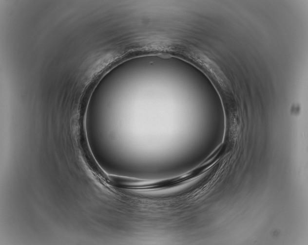 X0000091520677200708171217