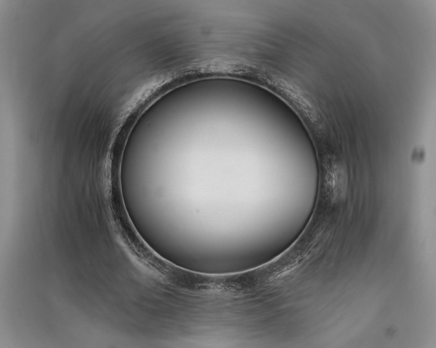 X0000091520678200708171217