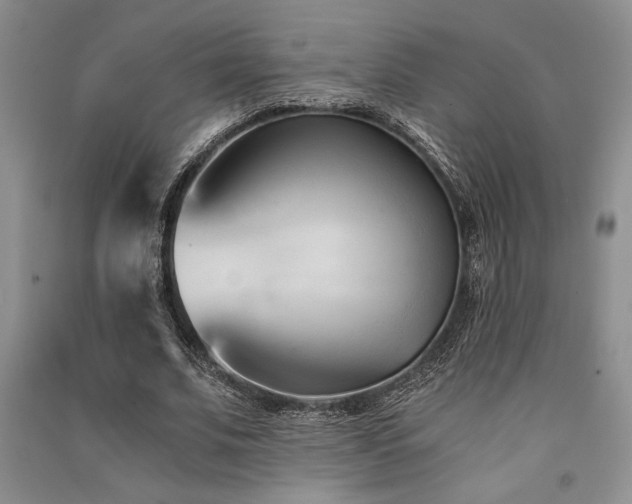 X0000091520679200708171217