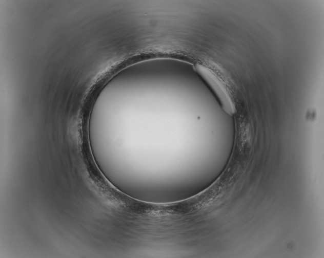 X0000091520680200708171217