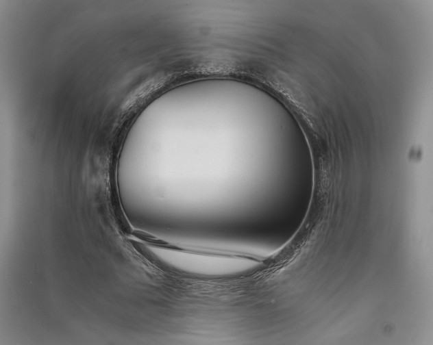 X0000091520681200708171217
