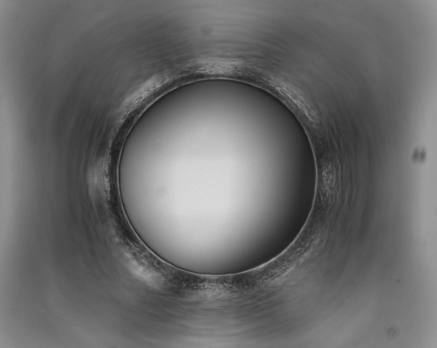 X0000091520682200708171217
