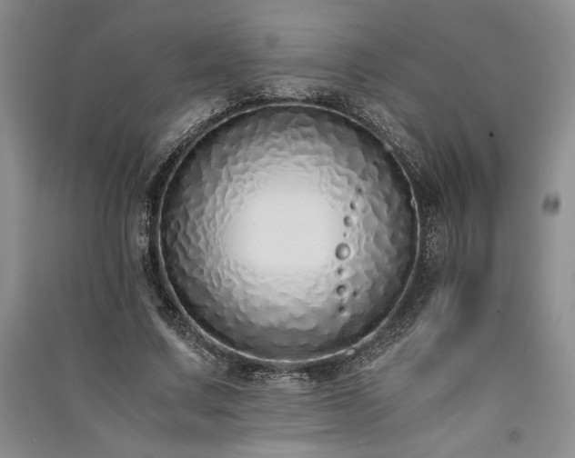 X0000091520683200708171217