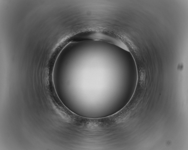 X0000091520684200708171217