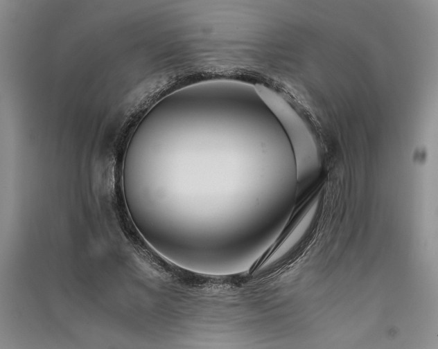 X0000091520685200708171217