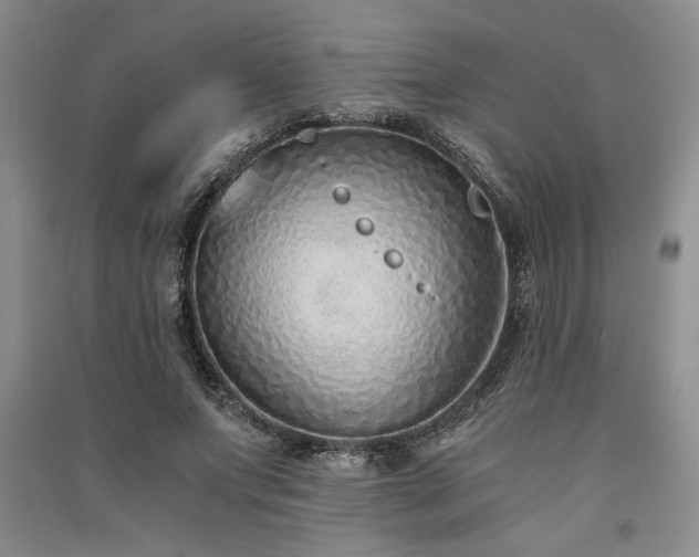 X0000091520687200708171217