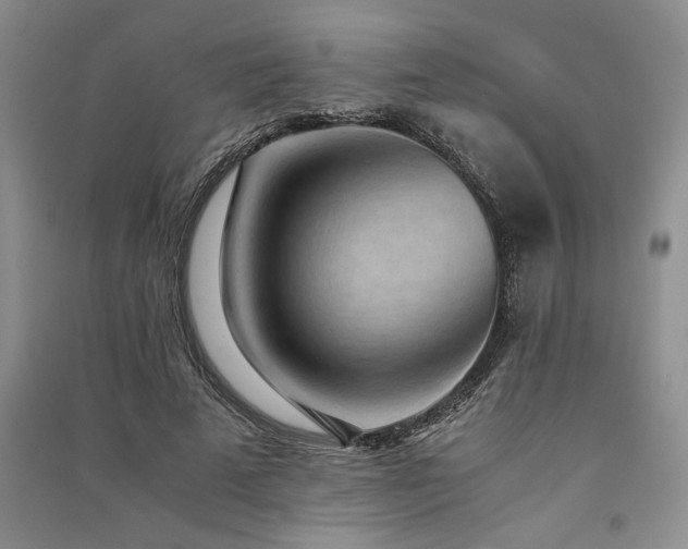 X0000091520689200708171217