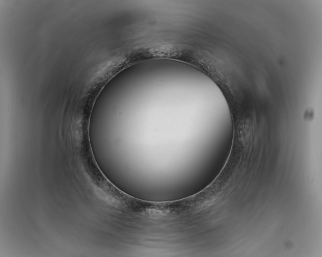 X0000091520690200708171217