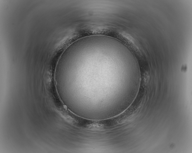 X0000091520691200708171217