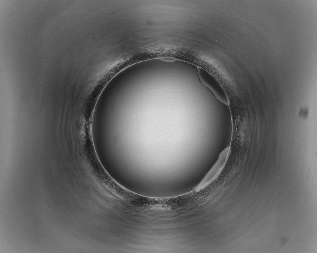 X0000091520692200708171217