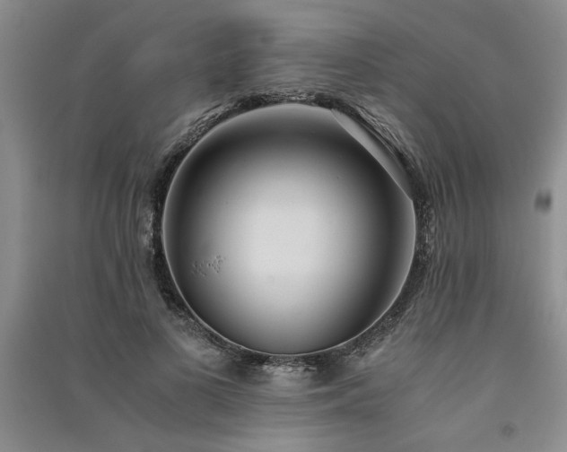 X0000091520693200708171217