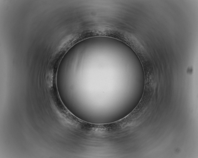 X0000091520694200708171217