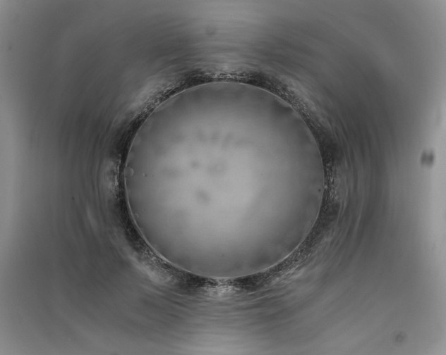 X0000091520695200708171217