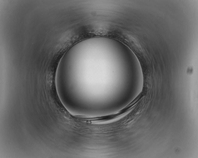 X0000091520697200708171217