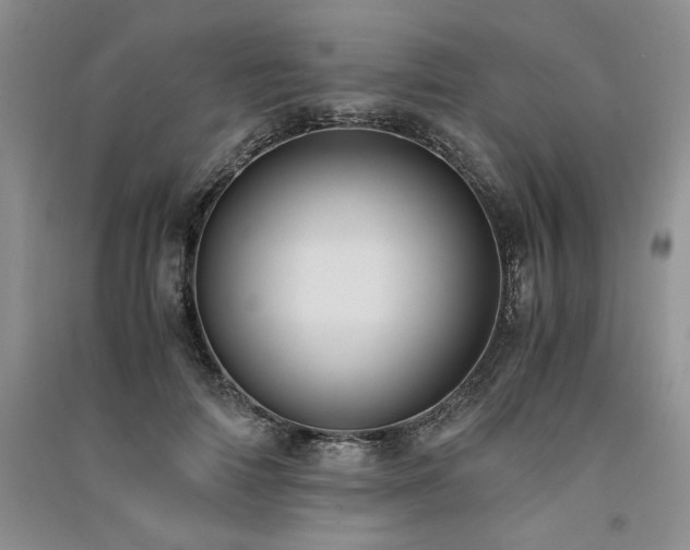 X0000091520698200708171217