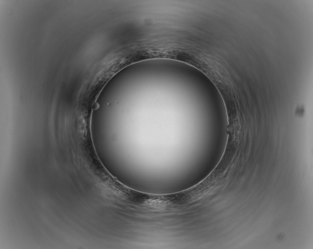 X0000091520699200708171216