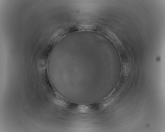 X0000091520701200708171216