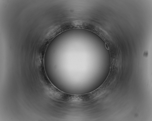 X0000091520702200708171216