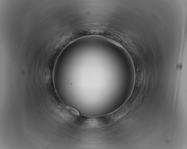 X0000091520704200708171216