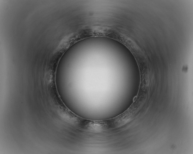 X0000091520706200708171216