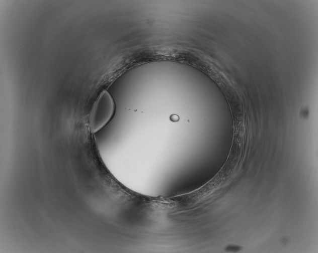 X0000091520707200708171216