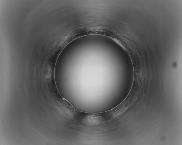 X0000091520708200708171216