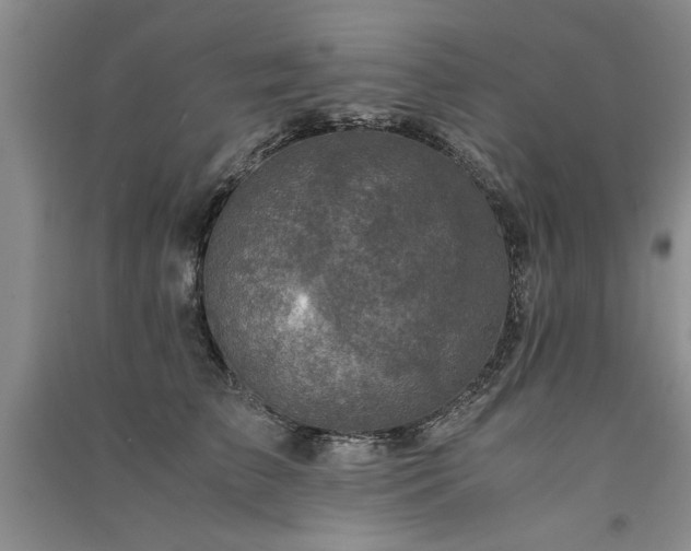X0000091520709200708171216