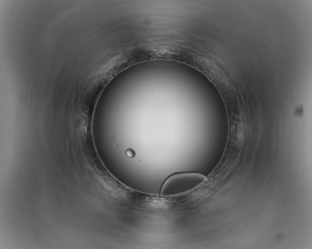 X0000091520710200708171216