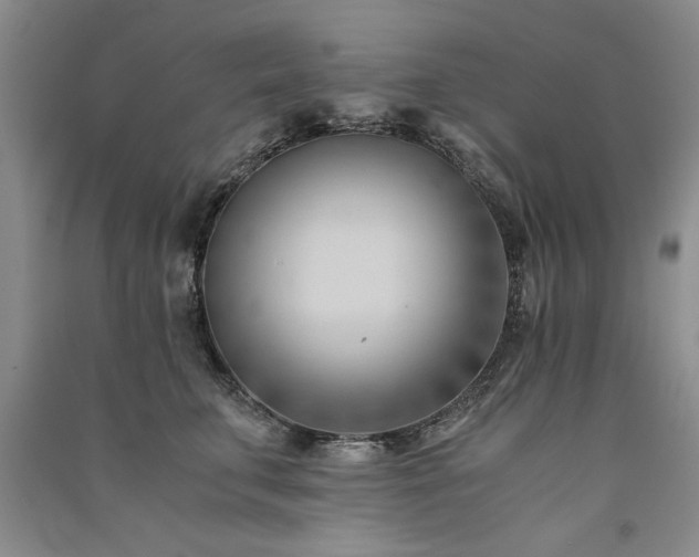 X0000091520711200708171216