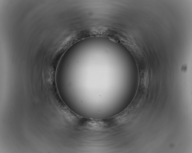 X0000091520712200708171216