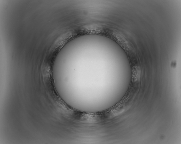 X0000091520713200708171216