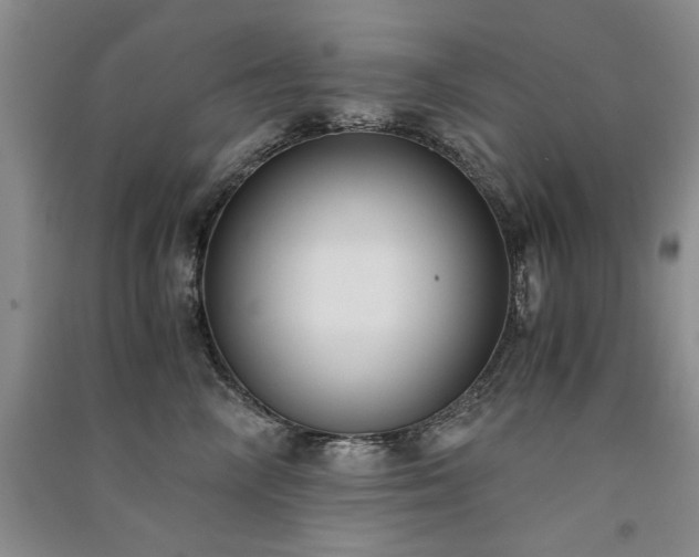 X0000091520714200708171216