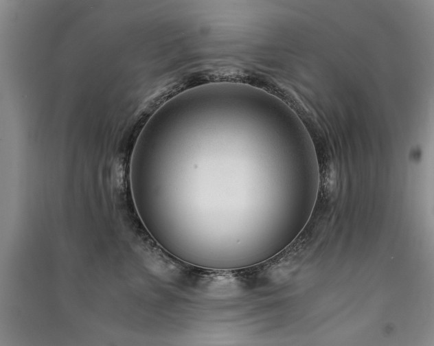 X0000091520715200708171216