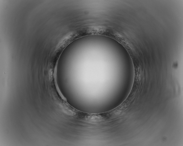 X0000091520716200708171216