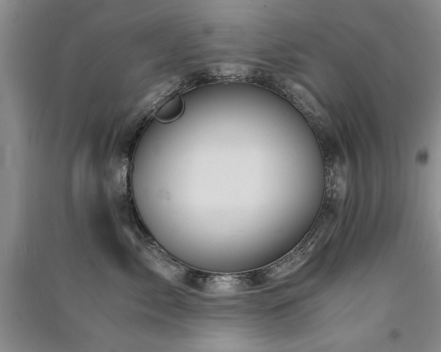 X0000091520717200708171216