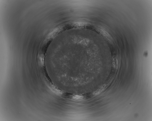 X0000091520718200708171216