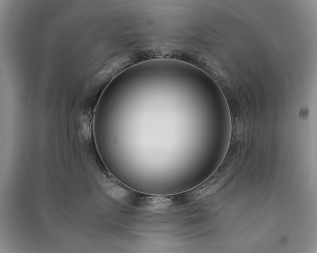 X0000091520719200708171216